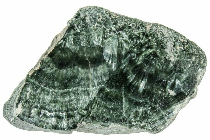 Polished Seraphinite Section - Korshunovkiy Mine, Siberia #314964